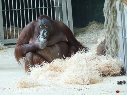 Tiergarten Schönbrunn am 23.03.2023